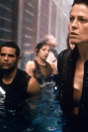 Vợ Cũ Chết Người