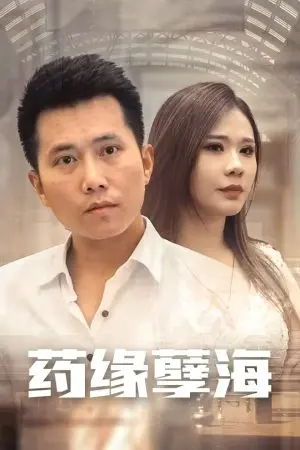 Báo Thù Của Thần Y (Chàng Rể Thầy Thuốc)