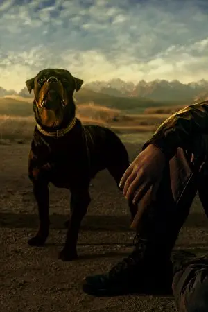 Kamen Rider Decade: All Riders Super Spin-off