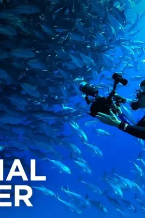 Lefter: Câu Chuyện Của Ordinarius Lefter: Câu Chuyện Của Ordinarius