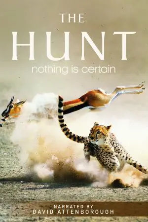 The Hunt The Hunt