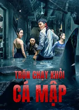 Trốn Chạy Khỏi Cá Mập Trốn Chạy Khỏi Cá Mập