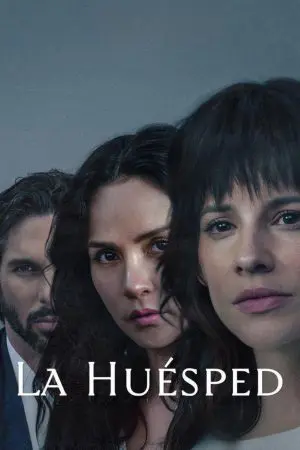 Vị Khách Vị Khách